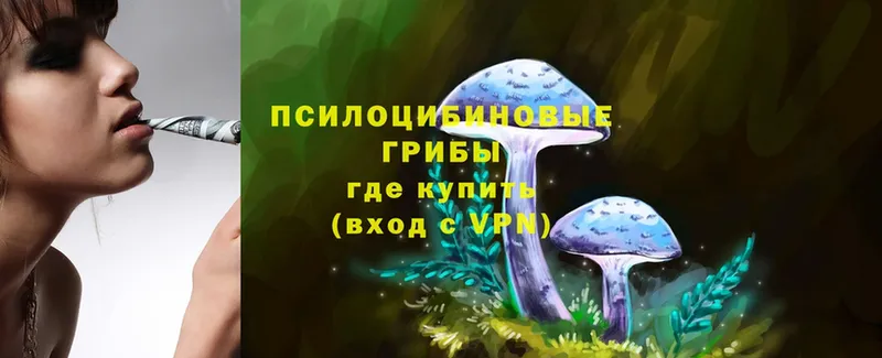 Псилоцибиновые грибы Psilocybe  hydra как зайти  Рыбное 